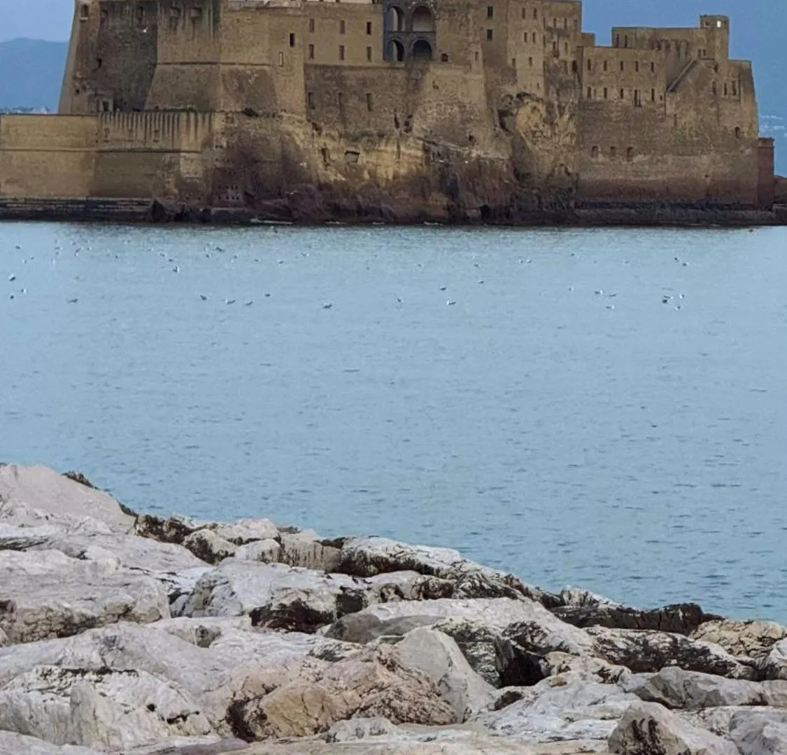 For House Apartment Naples